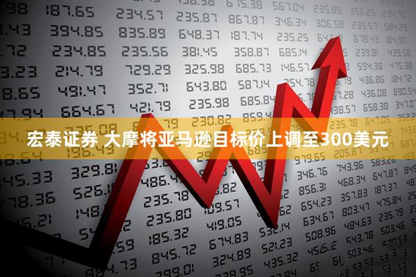 宏泰证券 大摩将亚马逊目标价上调至300美元