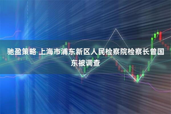 驰盈策略 上海市浦东新区人民检察院检察长曾国东被调查