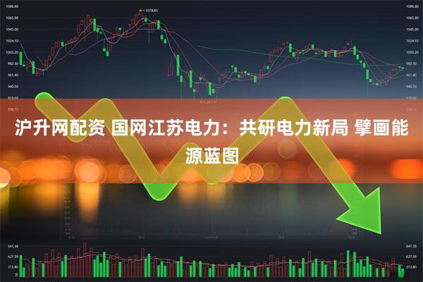 沪升网配资 国网江苏电力：共研电力新局 擘画能源蓝图